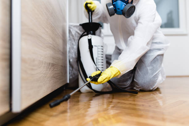 Professional Pest Control in Celoron, NY