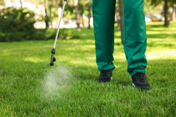 Best Wasp Removal Services  in Celoron, NY