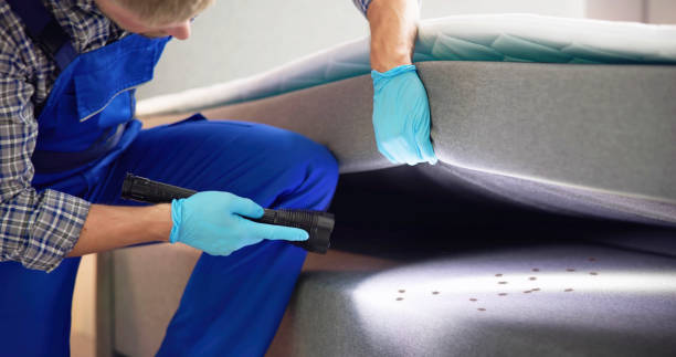 Best Emergency Pest Control  in Celoron, NY
