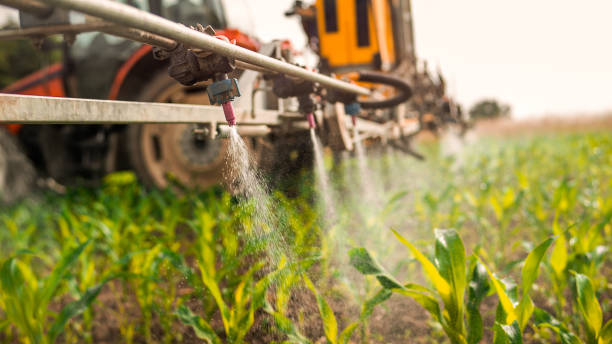 Best Pest Removal Services  in Celoron, NY